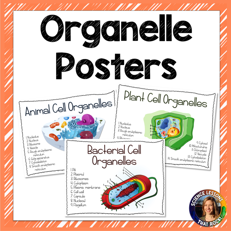 Cell Organelle Posters