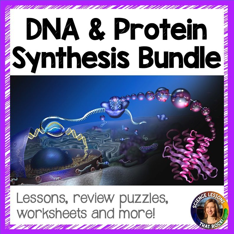 DNA and Protein Synthesis Bundle