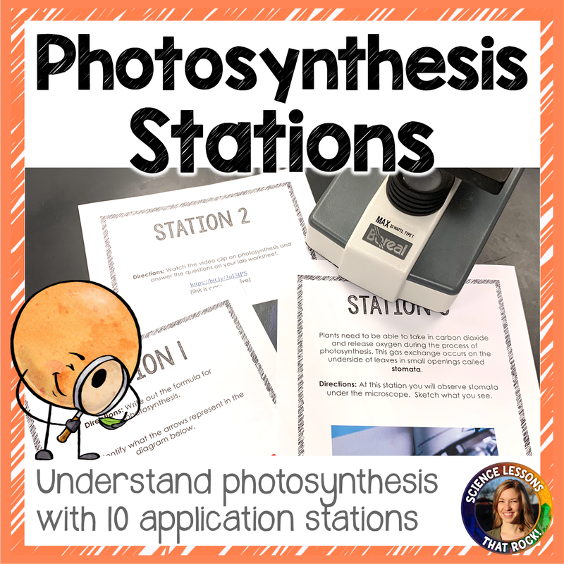 Photosynthesis Station Activity