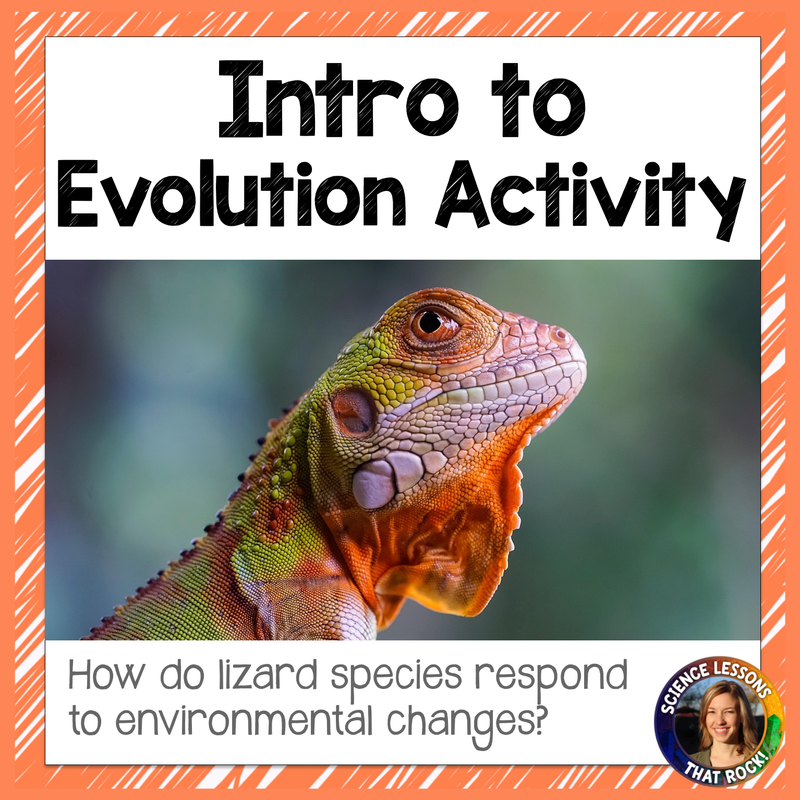 Lizard Evolution- An introductory evolution activity