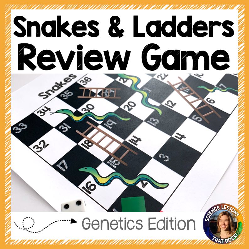 Genetics Review Game Snakes and Ladders