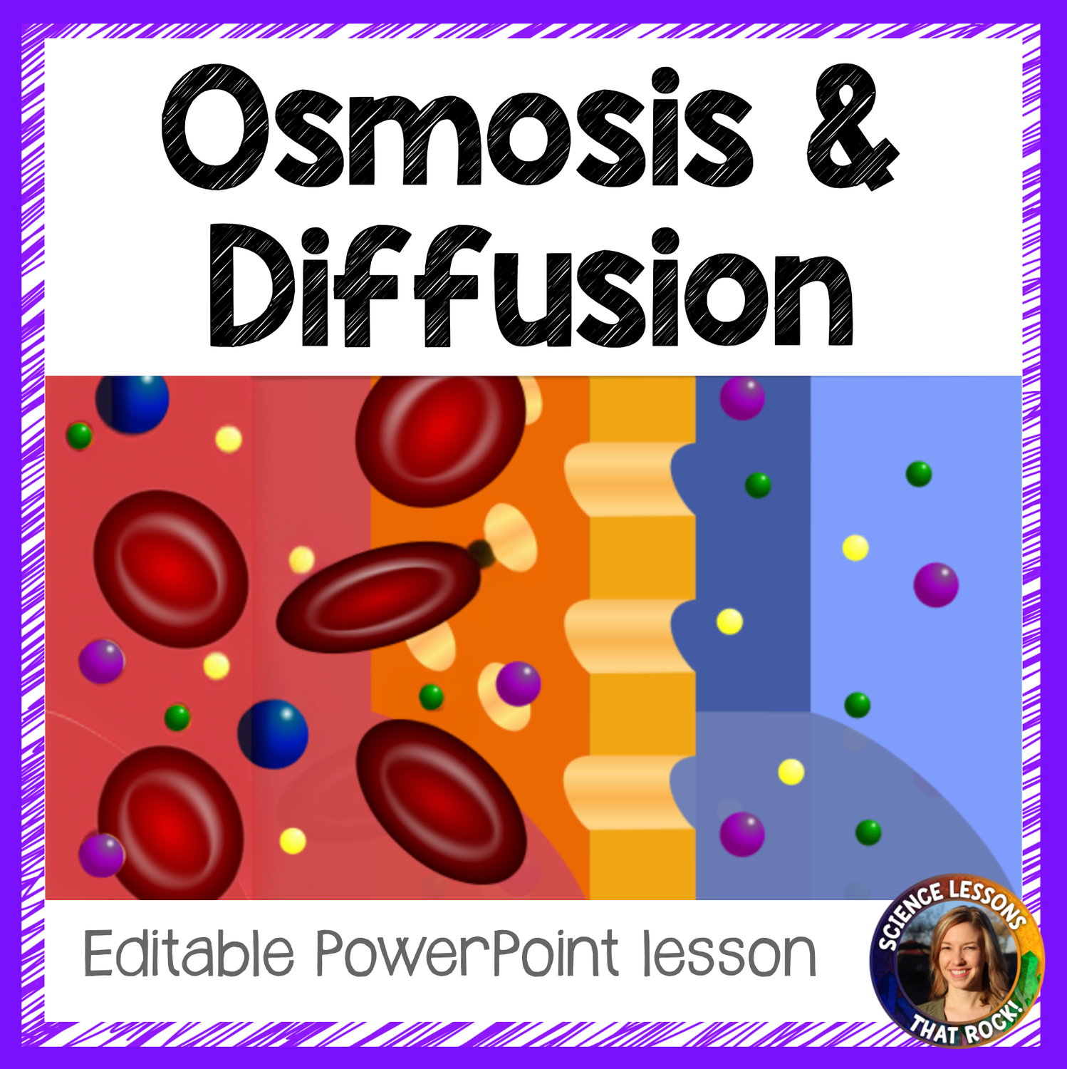 Osmosis and Diffusion Lesson