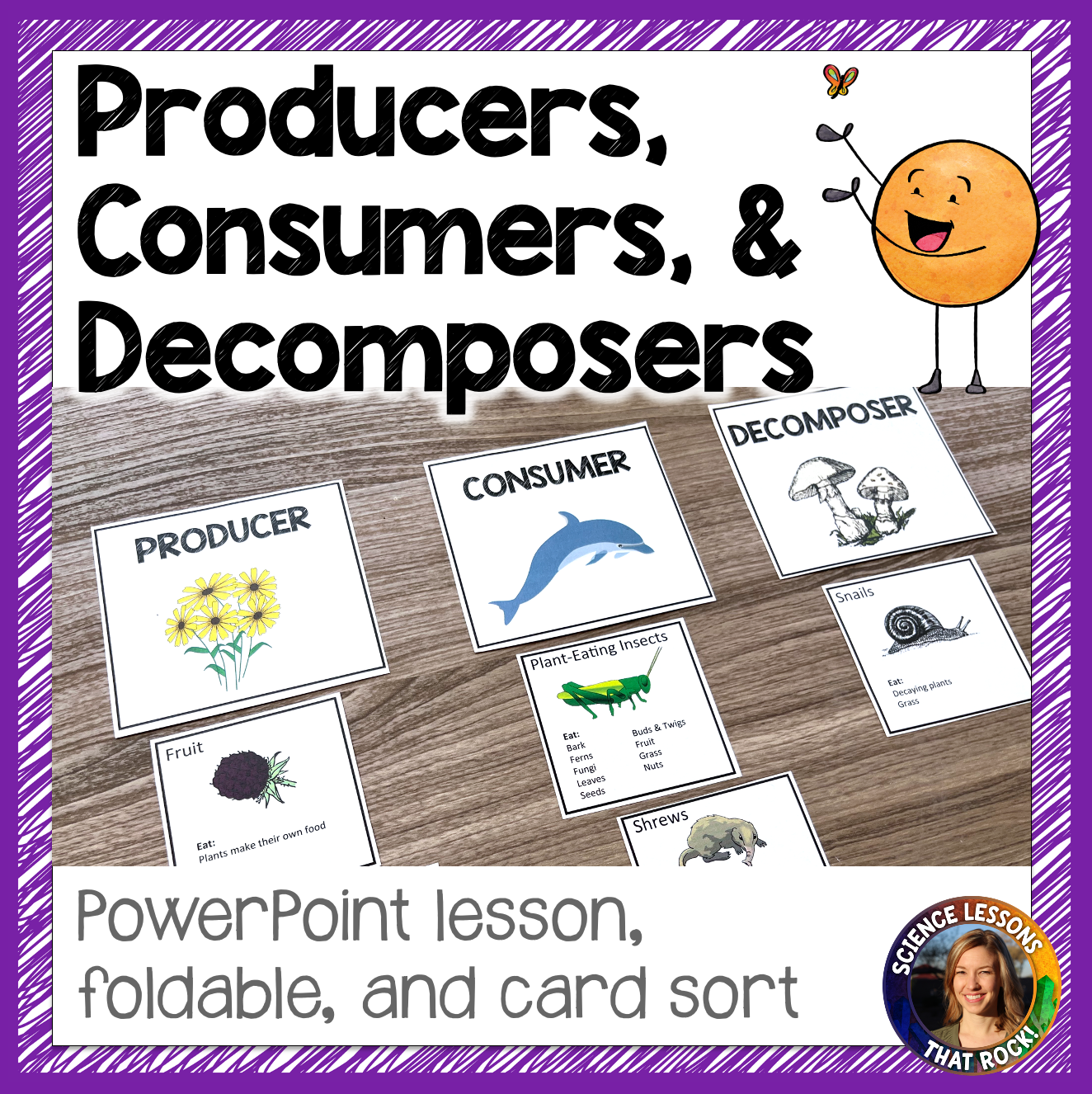 Producers Consumers and Decomposers Producers Consumers and Decomposers