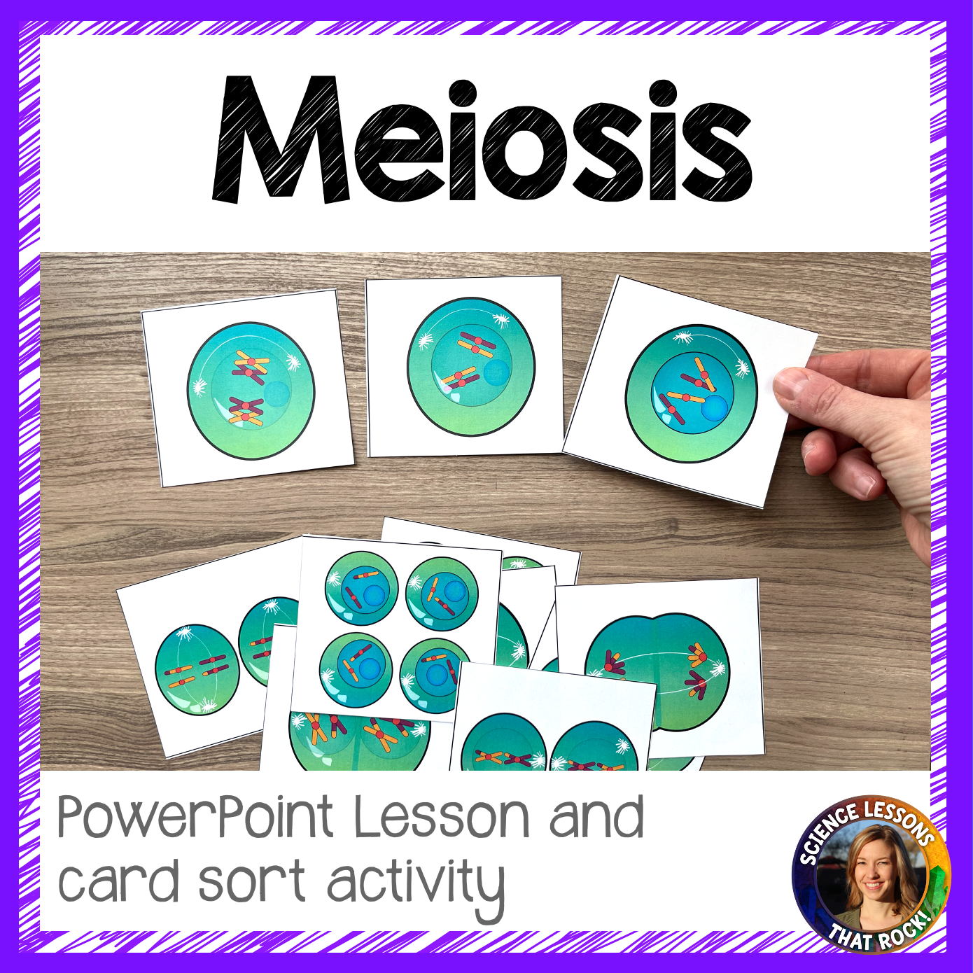 Meiosis powerpoint and card sort