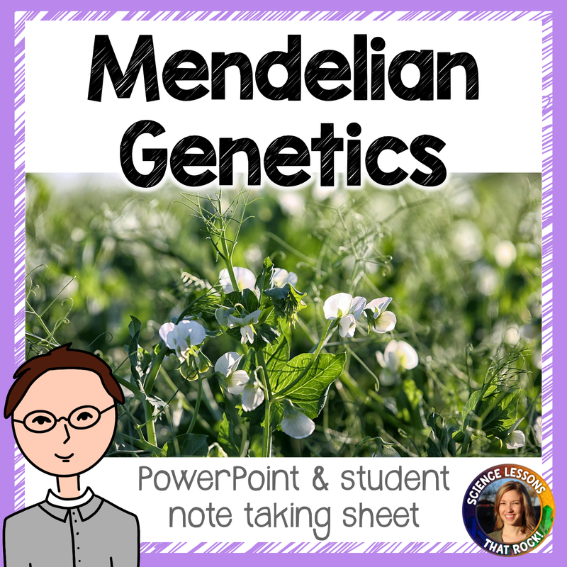 Mendelian Genetics Punnett Square Lesson