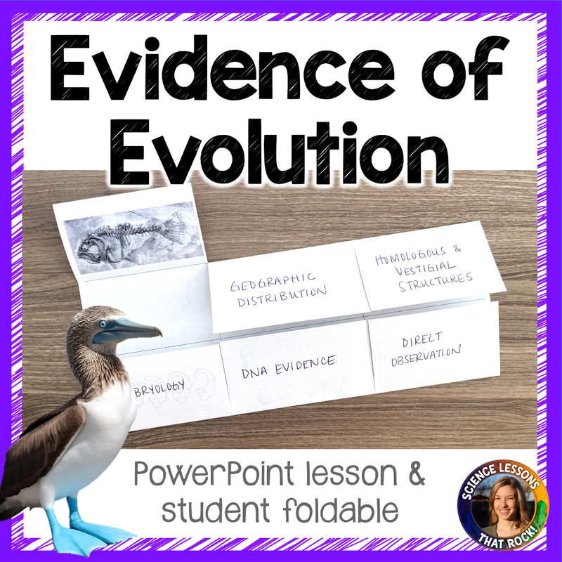 Evidence of Evolution