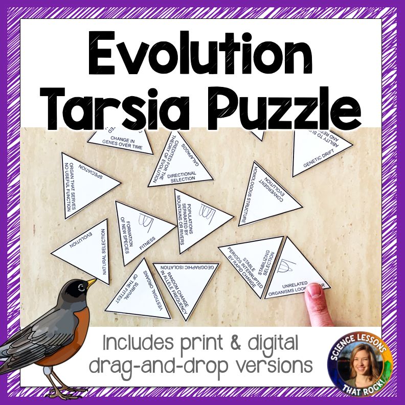 Evolution Tarsia Puzzle