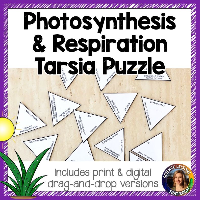 Photosynthesis and Cellular Repiration Tarsia Puzzle
