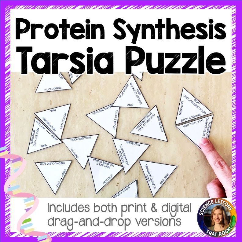 Protein Synthesis Tarsia Puzzle