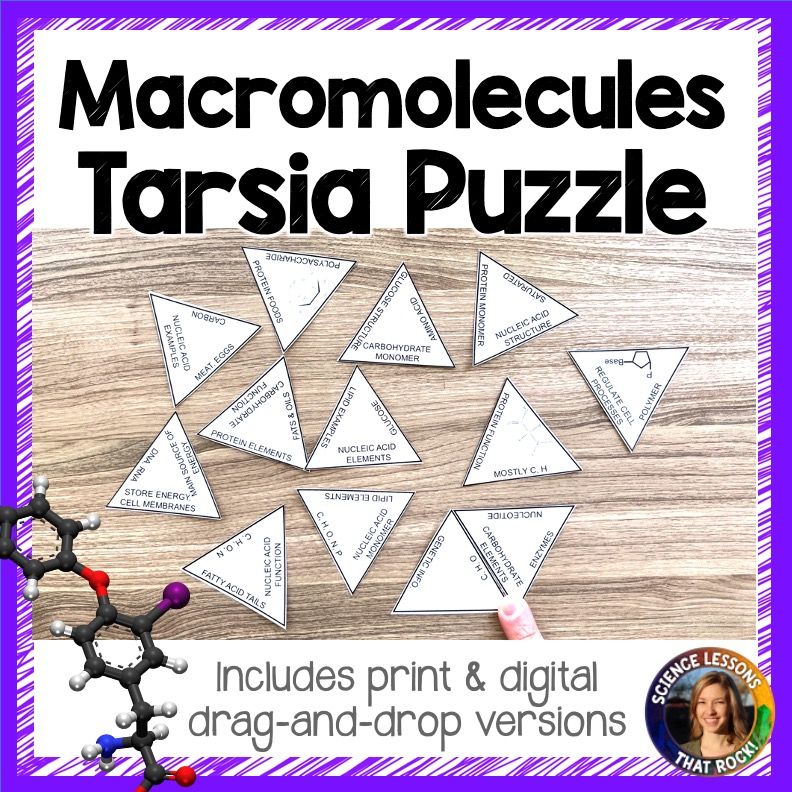 Macromolecules Tarsia Puzzle