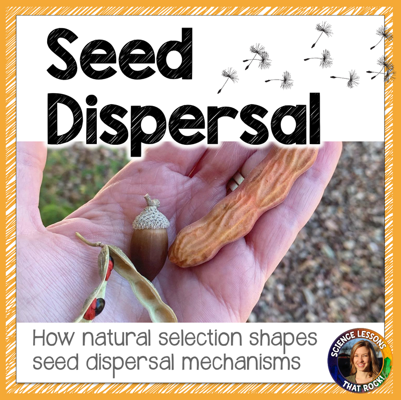 Seed Dispersal and Natural Selection Activities