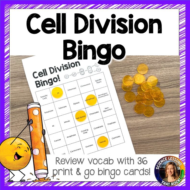Cell Division Bingo Vocabulary Review Game