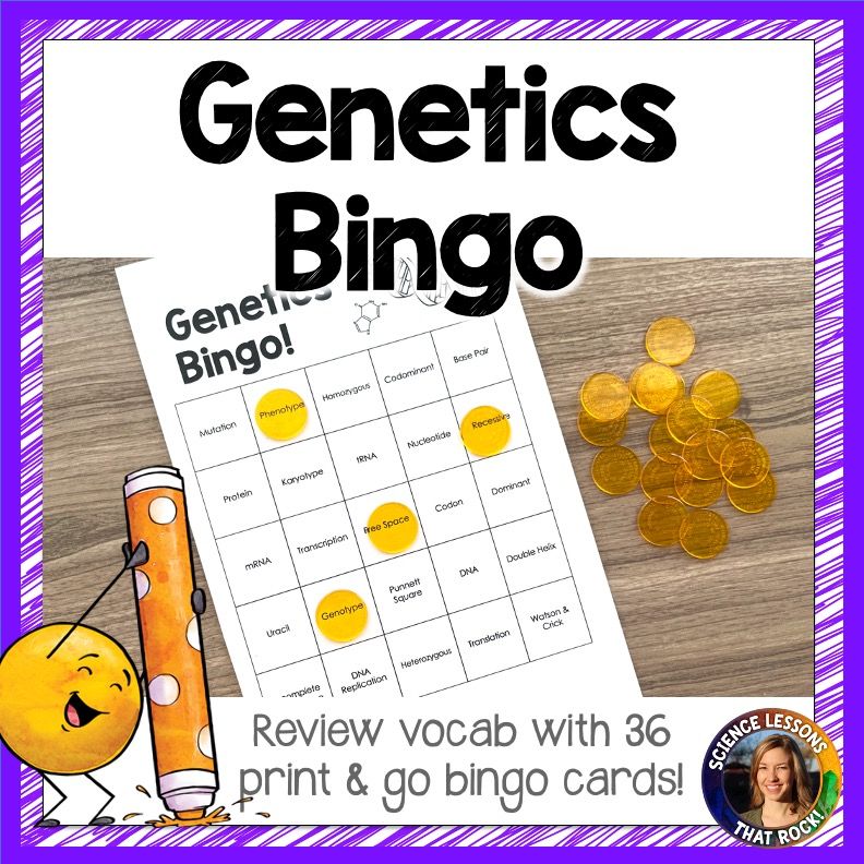 Genetics Bingo Vocabulary Review Game
