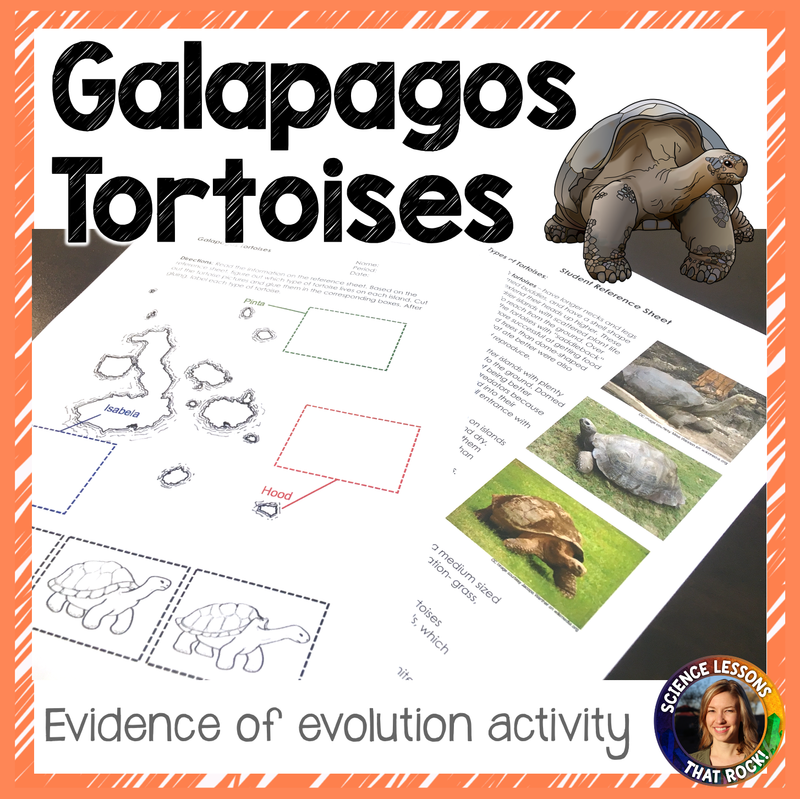 Galapagos Tortoises Evidence of Evolution Activity