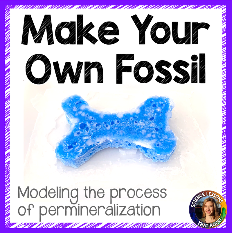 Permineralization Fossil Lab