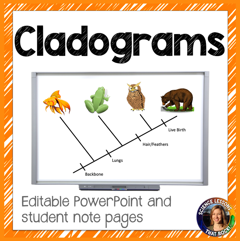Cladogram powerpoint