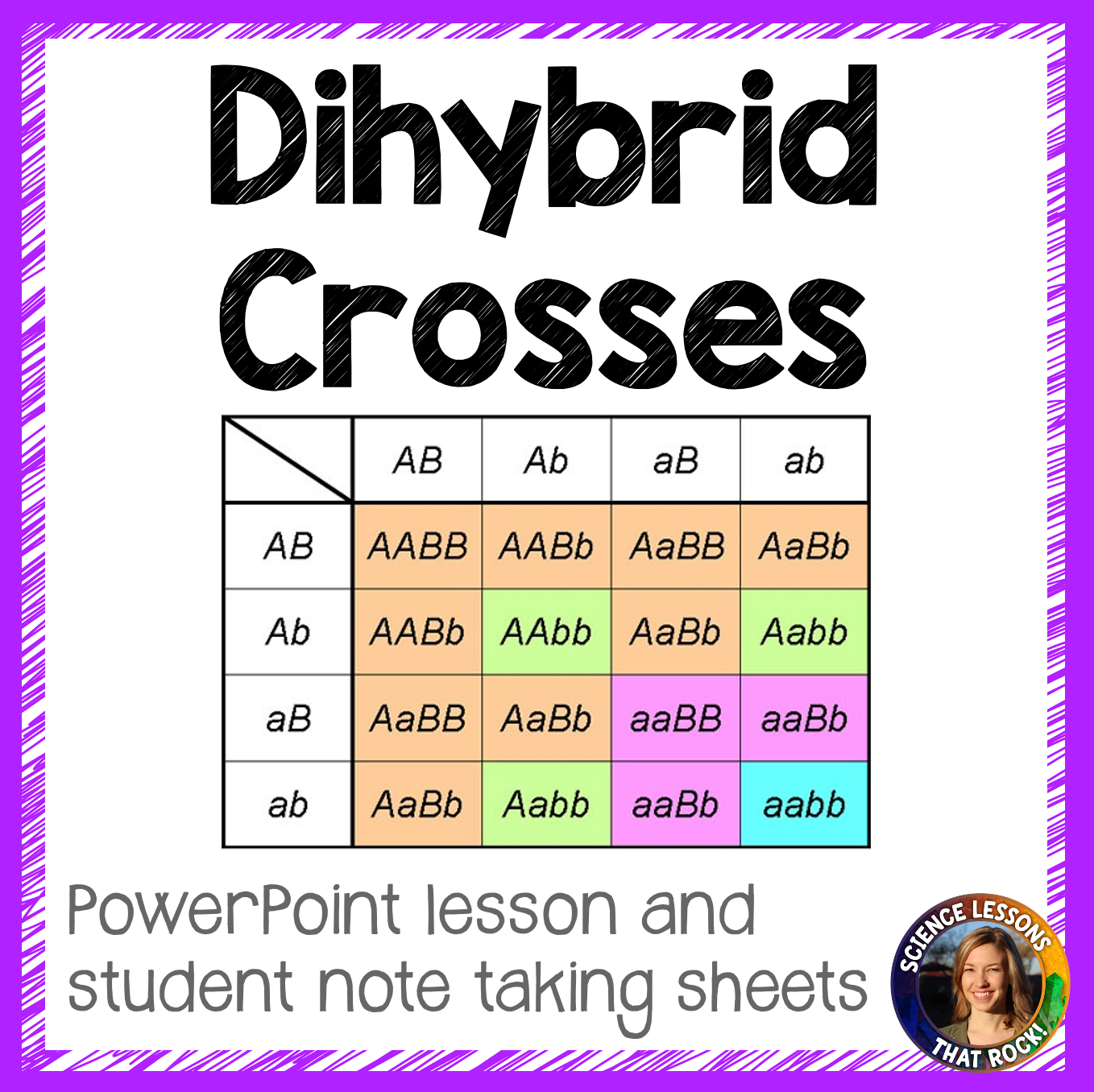 Dihybrid Crosses Punnett Square Lesson