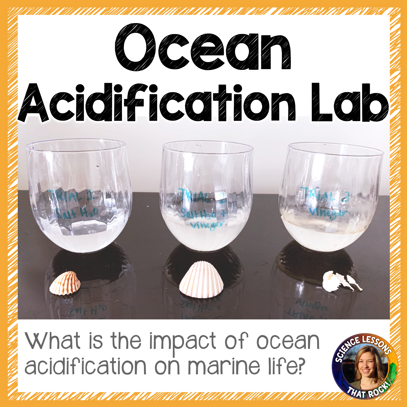 Ocean acidification lab