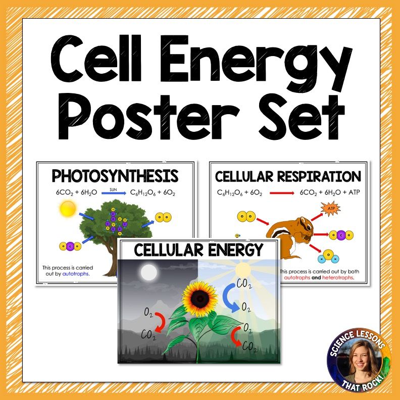 Cell Energy Posters