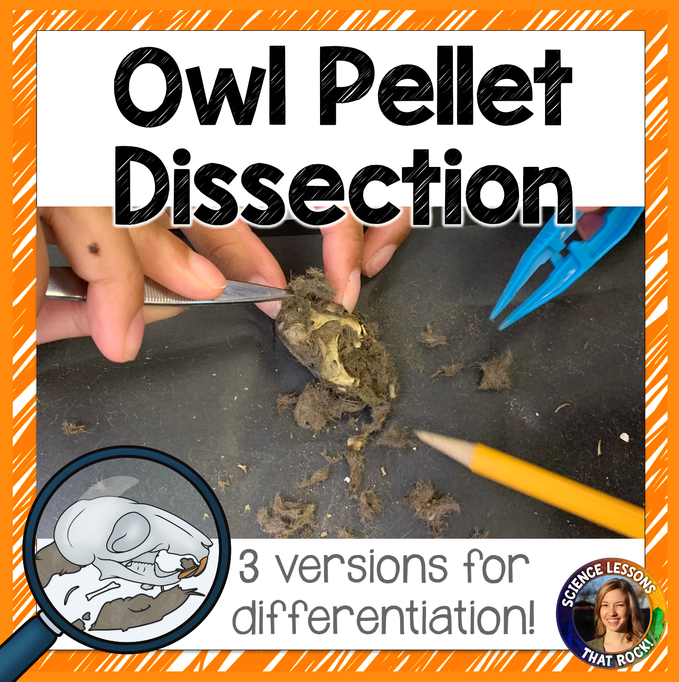 Owl Pellet Dissection