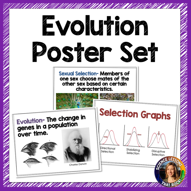 Evolution Posters