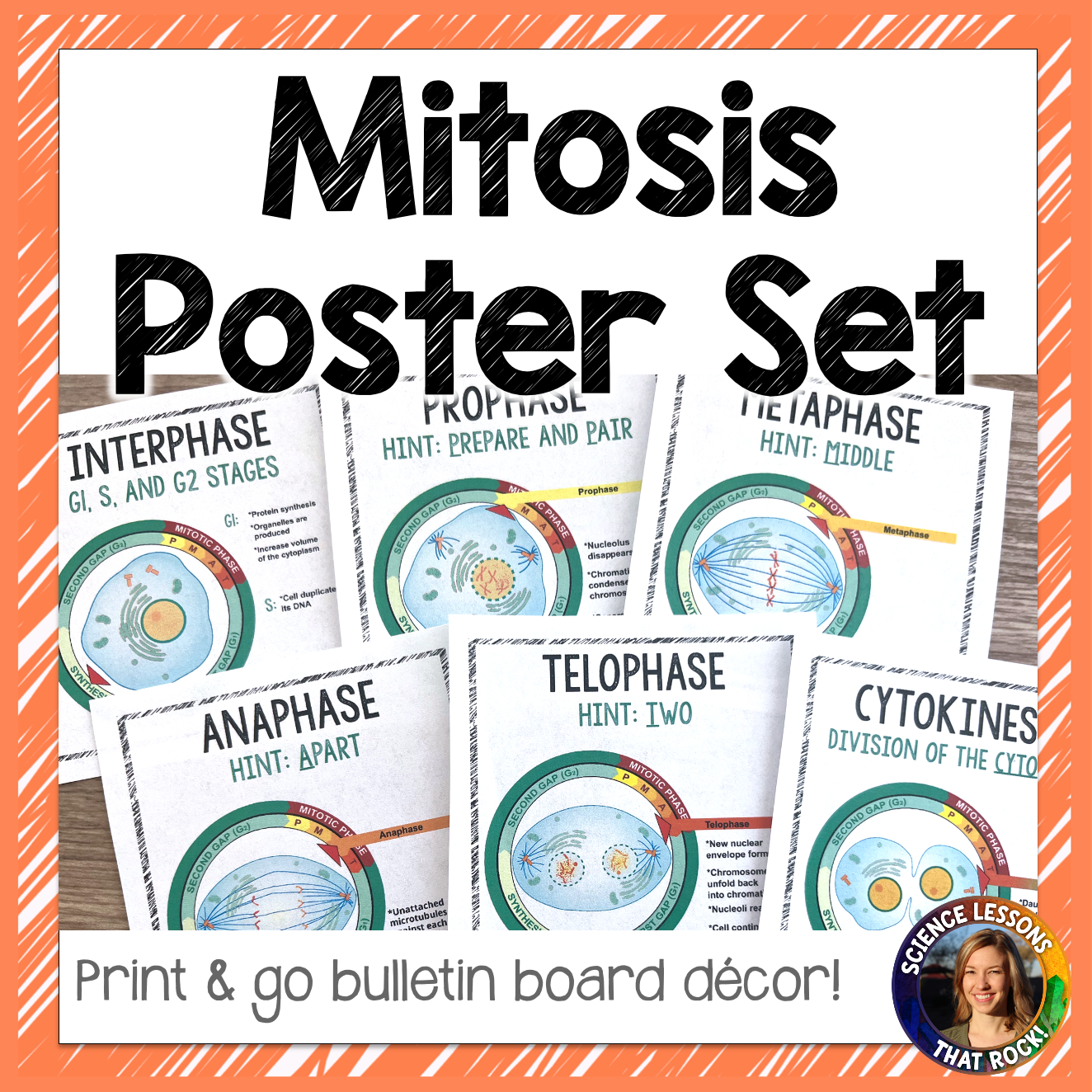 Mitosis Posters