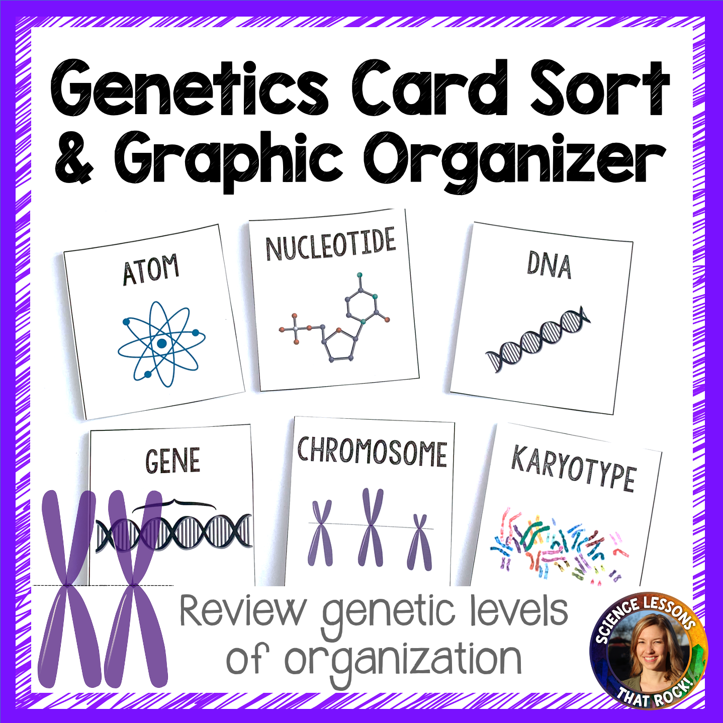 Genetics Levels of Organization INB