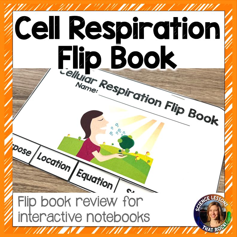 Cellular Respiration Flip Book Cellular Respiration Flip Book