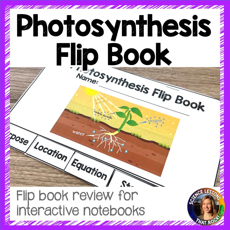 Photosynthesis Flip Book