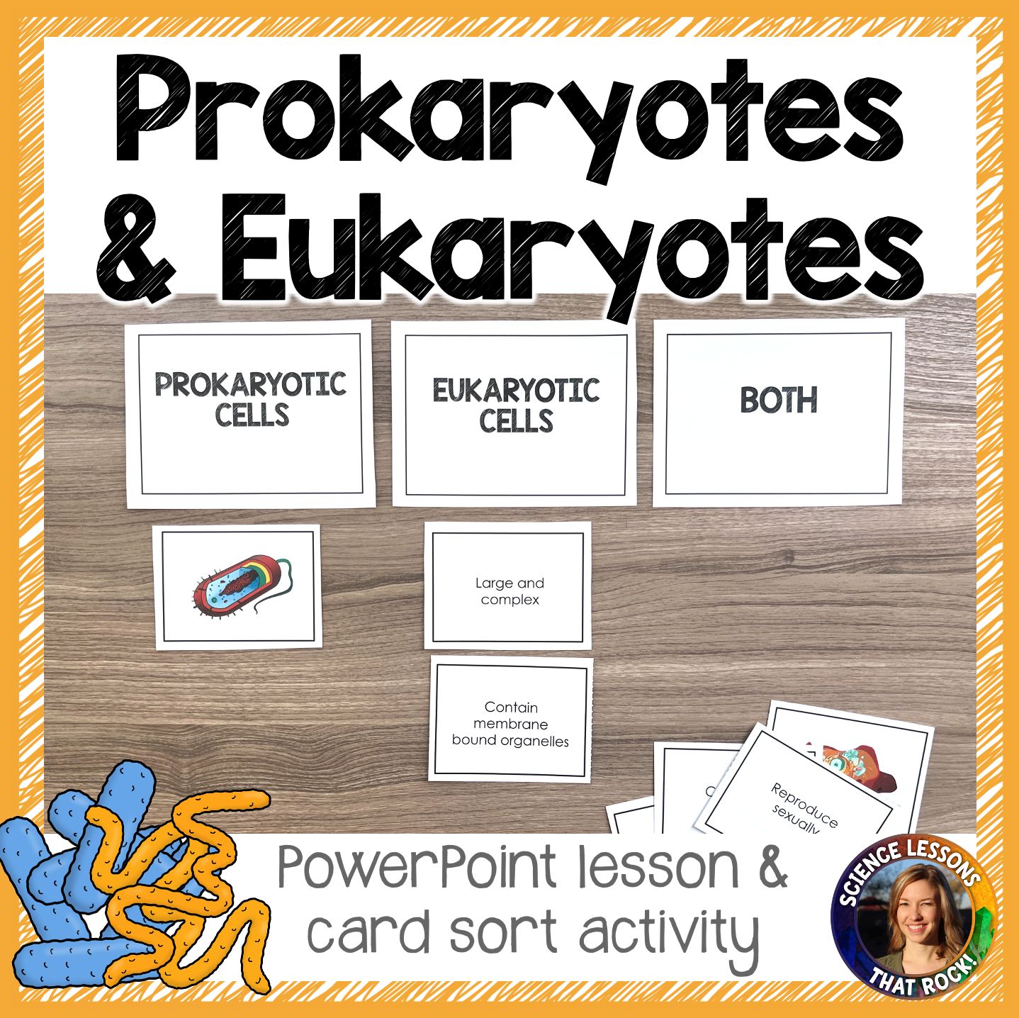 Prokaryotes and Eukaryotes - Store - Science Lessons That Rock
