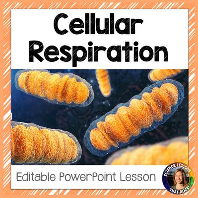 Cellular Respiration Powerpoint - Store - Science Lessons That Rock