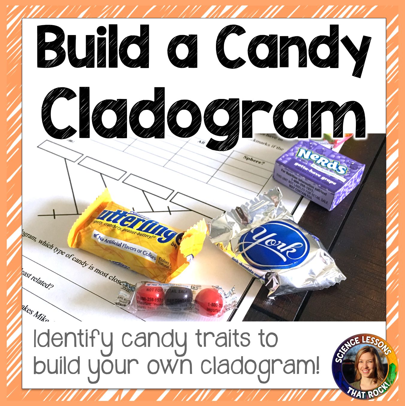Candy Cladograms Candy Cladograms