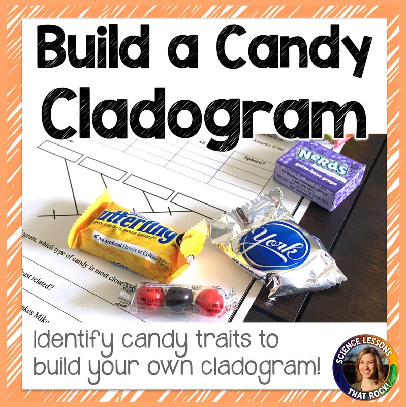 Candy Cladograms
