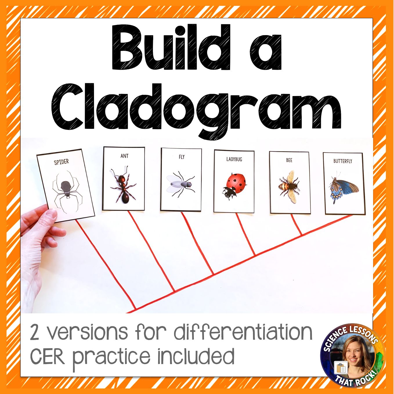 Build a Cladogram CER