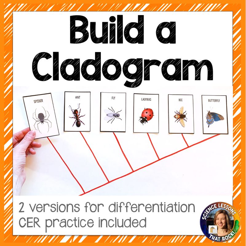 Build a Cladogram CER