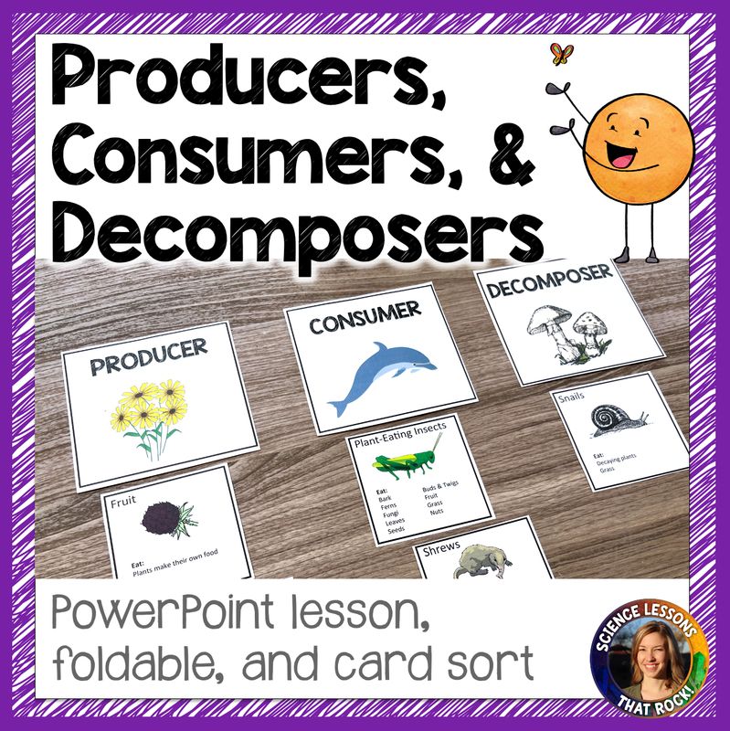 Producers Consumers and Decomposers