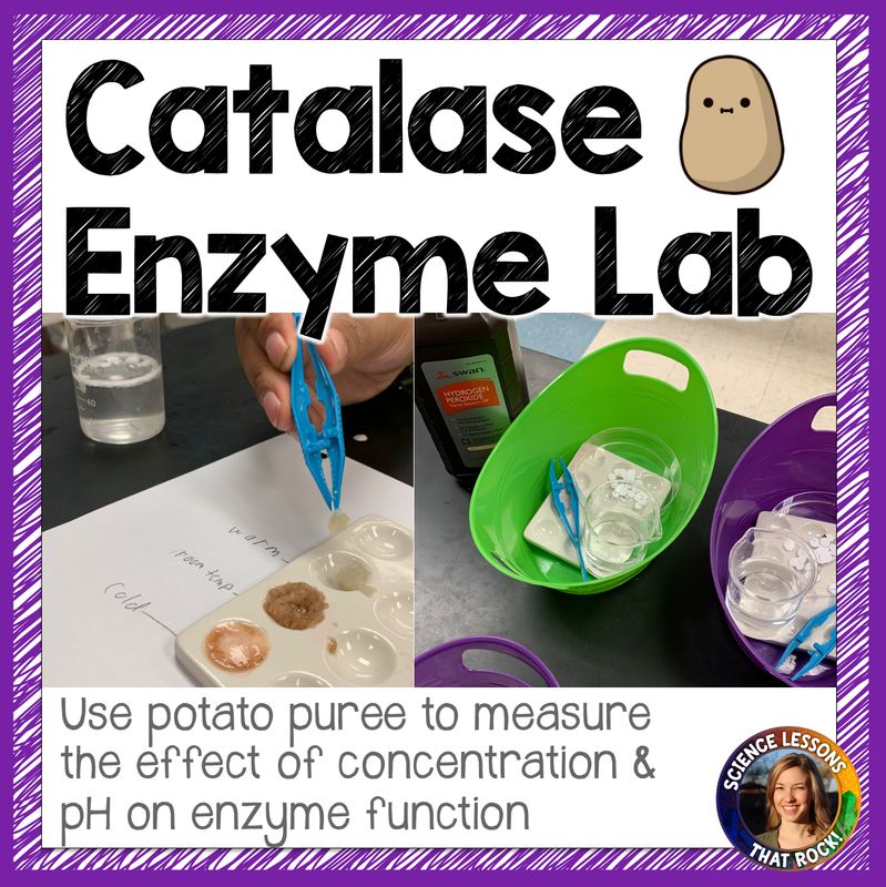 Enzyme Catalase Lab
