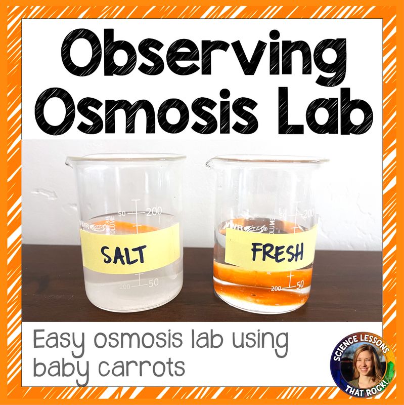 Osmosis Carrot Lab