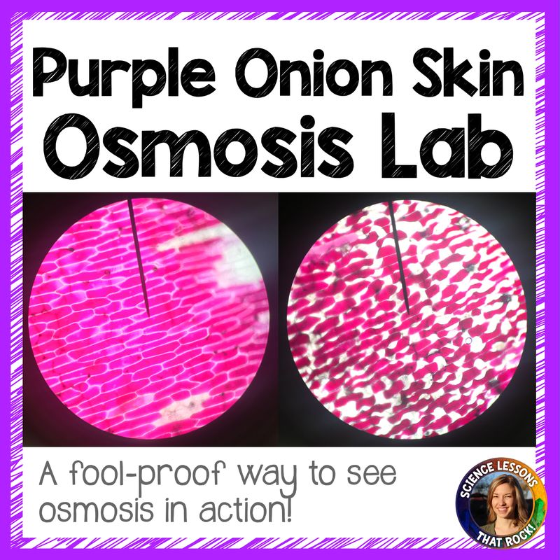 Cell Membrane Osmosis Tonicity Lab