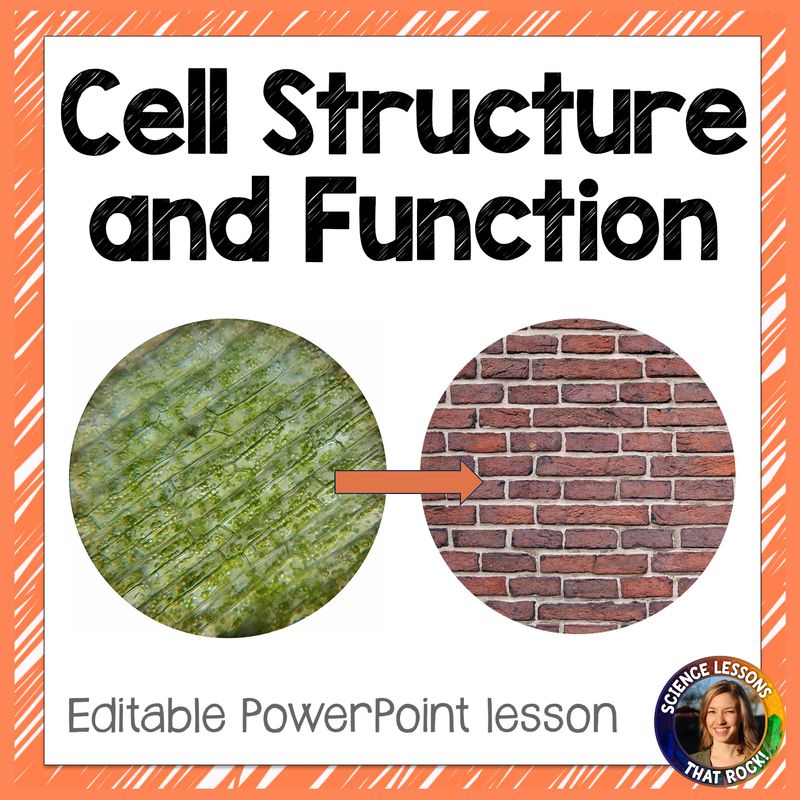 Cell Structure and Function