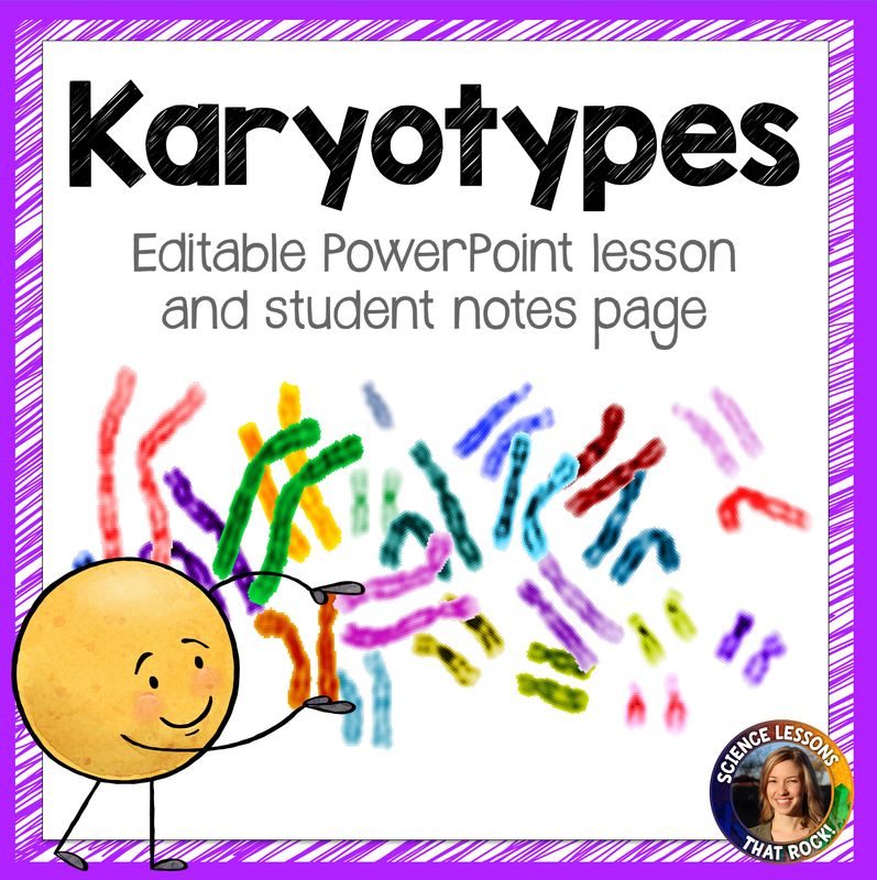 Karyotypes Powerpoint