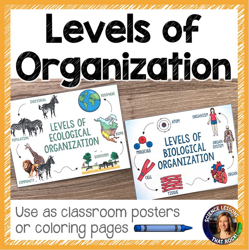 Levels of Ecological and Biological Organization Poster and Coloring Page