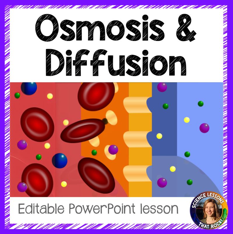 Osmosis and Diffusion Lesson