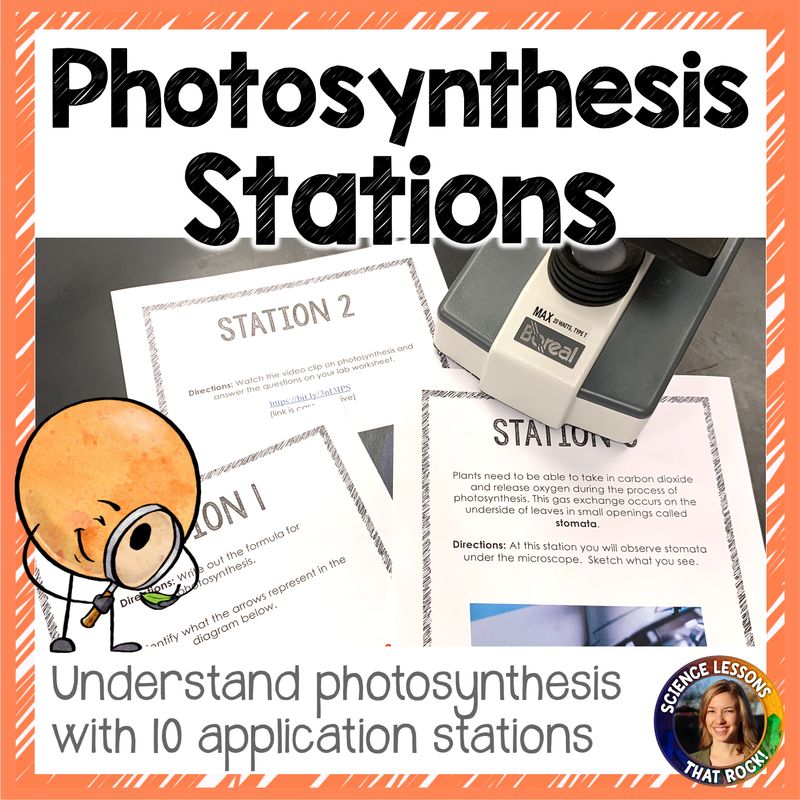 Photosynthesis Station Activity
