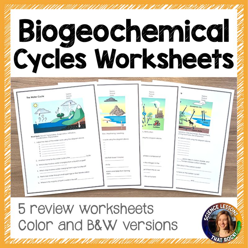 Biogeochemical Cycles Worksheets