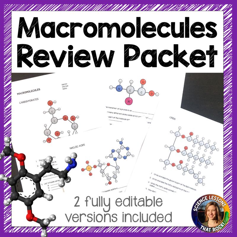 Macromolecules Review Packet