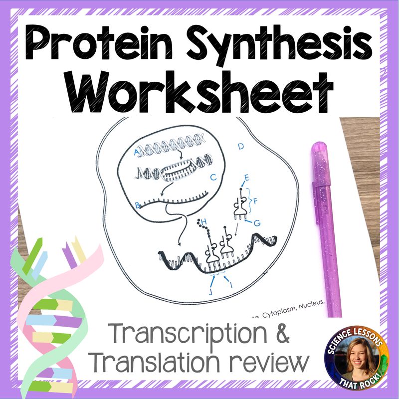 Protein Synthesis Worksheet