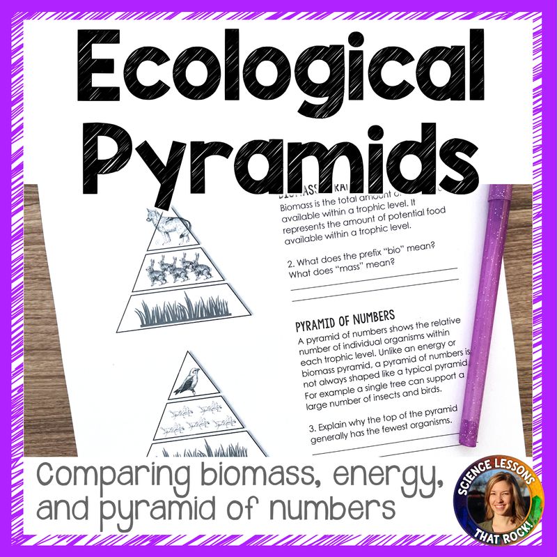 Comparing Ecological Pyramids