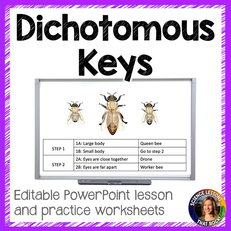 Dichotomous Keys Powerpoint and Worksheets