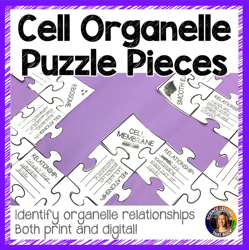 Cell Organelle Puzzle Pieces